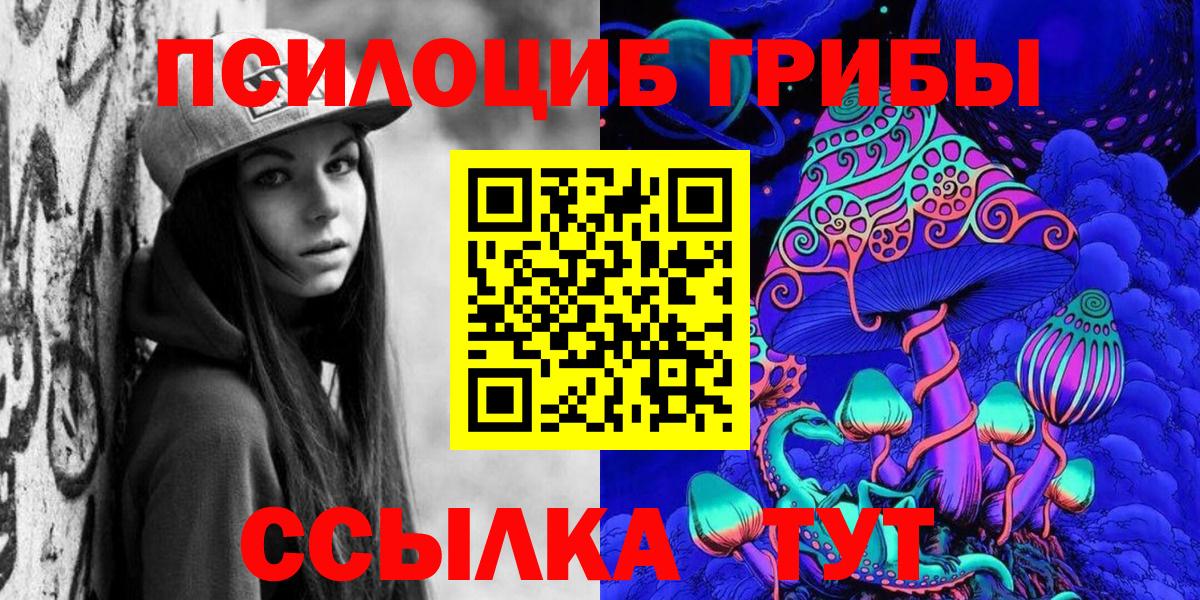 Саранск  Псилоцибиновые грибы Psilocybe  Вход с VPN  Псилоцибиновые грибы Cubensis 
